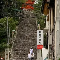 伊佐爾波神社の写真・動画_image_806512