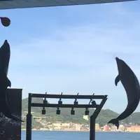 下関市立しものせき水族館・海響館の写真・動画_image_807183