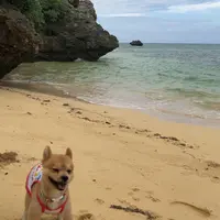 石垣島サンセットビーチの写真・動画_image_807187