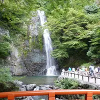 箕面の滝（箕面大滝）の写真・動画_image_80757