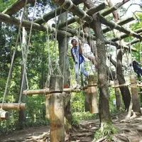 六甲山フィールド・アスレチックの写真・動画_image_80773