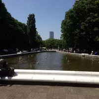 代々木公園の写真・動画_image_80787