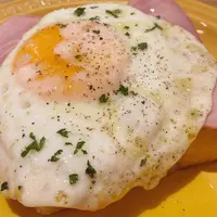 ペリカンカフェの写真・動画_image_807975