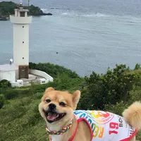 平久保崎の写真・動画_image_808334