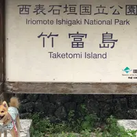 竹富島の写真・動画_image_808348