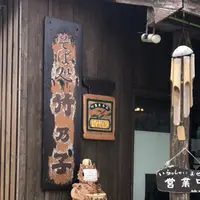 そば処 竹の子の写真・動画_image_808369