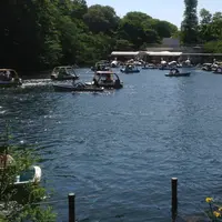 井の頭恩賜公園の写真・動画_image_80839
