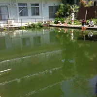 【閉店】つりぼり衆楽園の写真・動画_image_80858