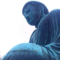 鎌倉大仏（高徳院）の写真・動画_image_80876