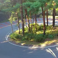 いろは坂の写真・動画_image_80879