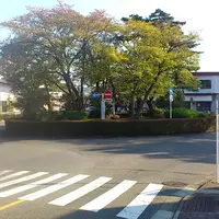 桜ヶ丘ロータリーの写真・動画_image_80883