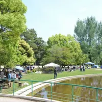 服部緑地の写真・動画_image_80985