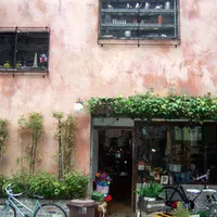 GLOW NORTH(グローノース)の写真・動画_image_81033