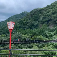 鬼怒楯岩大吊橋の写真・動画_image_810477