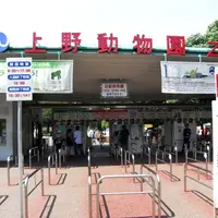 上野動物園の写真・動画_image_81058