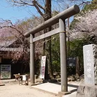 葛原岡神社の写真・動画_image_81059