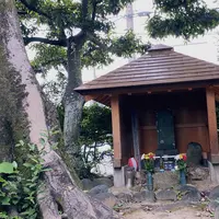 道三塚の写真・動画_image_811823