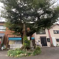 濃姫 遺髪塚の写真・動画_image_811833