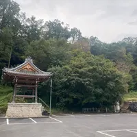 天龍寺の写真・動画_image_811841