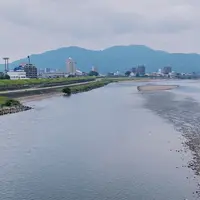 金華橋の写真・動画_image_811981