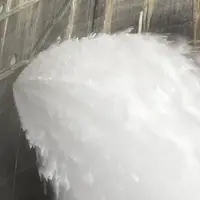 黒部ダムの写真・動画_image_812273