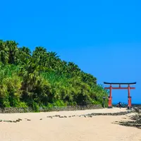 青島神社の写真・動画_image_812346