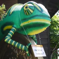 菓子屋横丁の写真・動画_image_81280