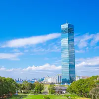 千葉ポートパークの写真・動画_image_812882