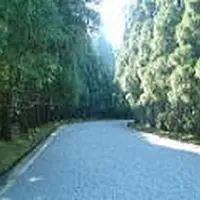 武蔵陵墓地の写真・動画_image_81307