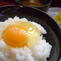 但熊の写真・動画_image_81381