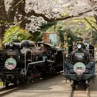 世田谷公園の写真・動画_image_81387