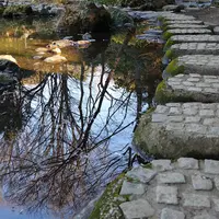 有栖川宮記念公園の写真・動画_image_81510