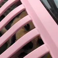 大原港の写真・動画_image_815977