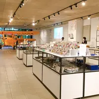 TAKEOFF-SITEの写真・動画_image_816017