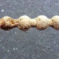 吉備子屋の写真・動画_image_81602