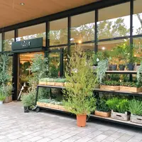 Rust（ラスト）の写真・動画_image_816022