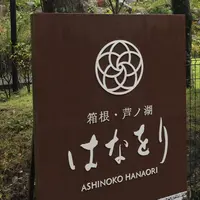 箱根・芦ノ湖 はなをりの写真・動画_image_816150