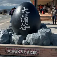 大涌谷の写真・動画_image_816304