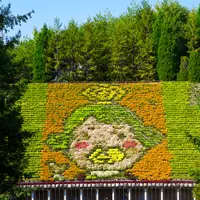 宇治市植物公園の写真・動画_image_816582