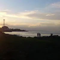 観音崎公園の写真・動画_image_81700