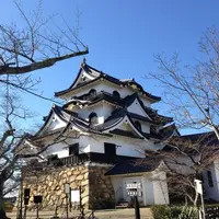 彦根城の写真・動画_image_81890