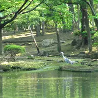 国会前庭の写真・動画_image_81985
