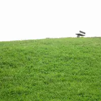 武蔵野の森公園の写真・動画_image_82019