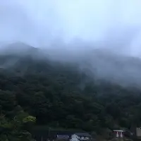 滝味の宿 豊年万作の写真・動画_image_821296
