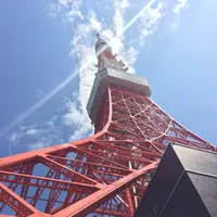 東京タワーの写真・動画_image_82249