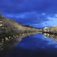 弘前公園の写真・動画_image_82312
