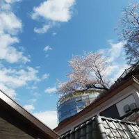 キッチンむささびの写真・動画_image_82354