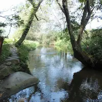 カッパ淵の写真・動画_image_82371