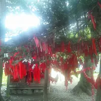 卯子酉様の写真・動画_image_82484