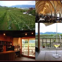 勝沼醸造の写真・動画_image_82601